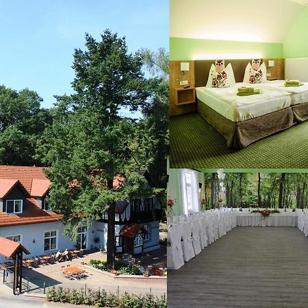 Hotel Zur Waldhufe Doberlug-Kirchhain Eksteriør bilde